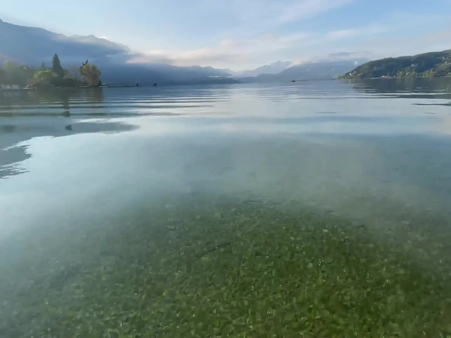 Eau turquoise et transparente du lac d'Annecy, fond de galets visible, montagnes au loin.